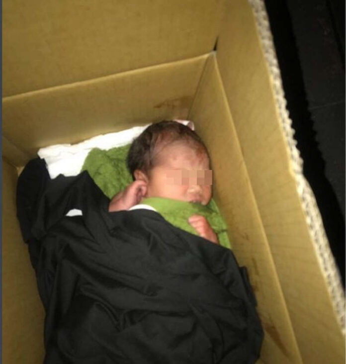 Newborn
